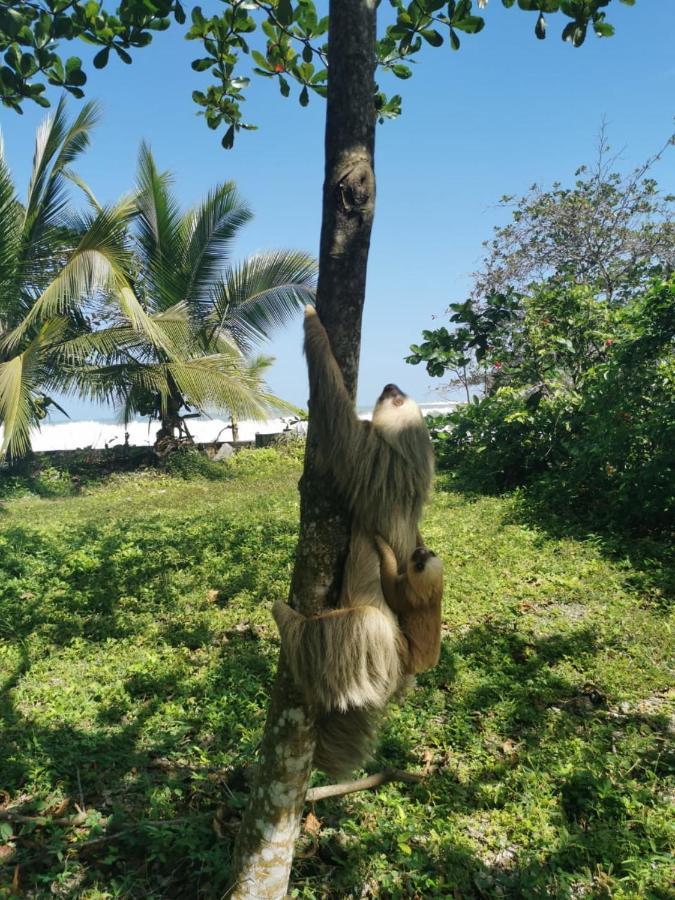 Ocean View Lodge كويتا المظهر الخارجي الصورة